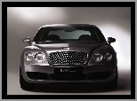 Ksenonowe, Bentley Continental Flying, Reflektory