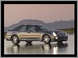 Pasażera, Cadillac STS, Strona