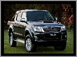 Toyota, Hilux